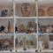 Foto del mese: “Reperti sequestrati al Museo Archeologico Nazionale di Civitavecchia (RM)”