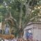 Tradizioni e romane celebrazioni: la Festa de’ Noantri e la processione della “Madonna fiumarola”